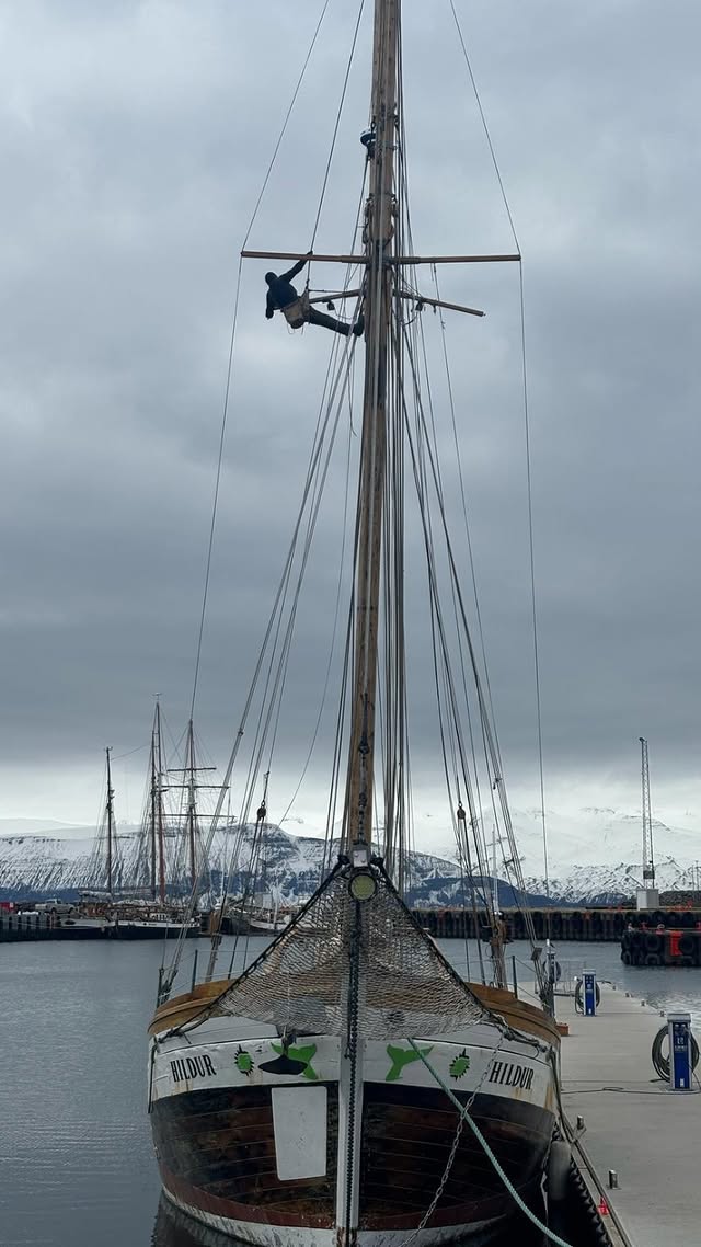 Schooner Hildur